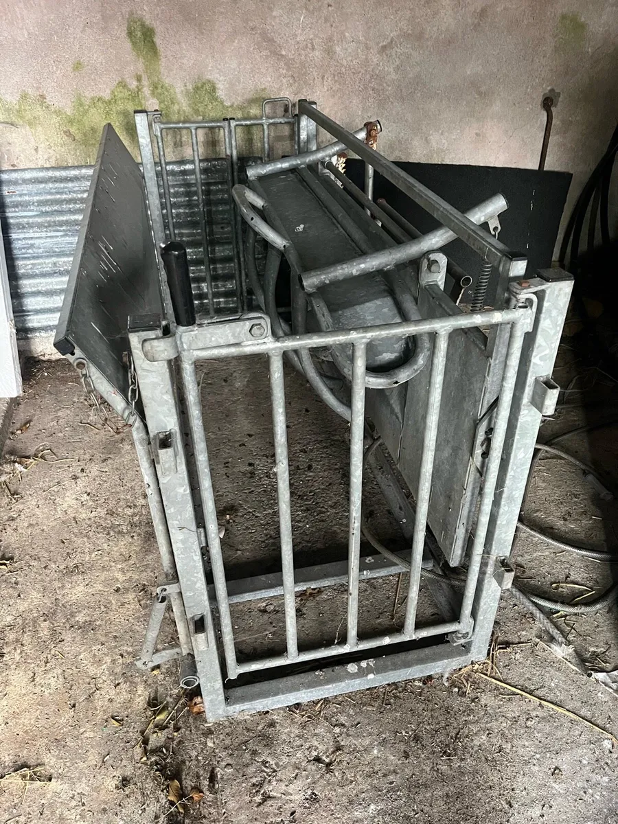 Sheep Crate - Image 2