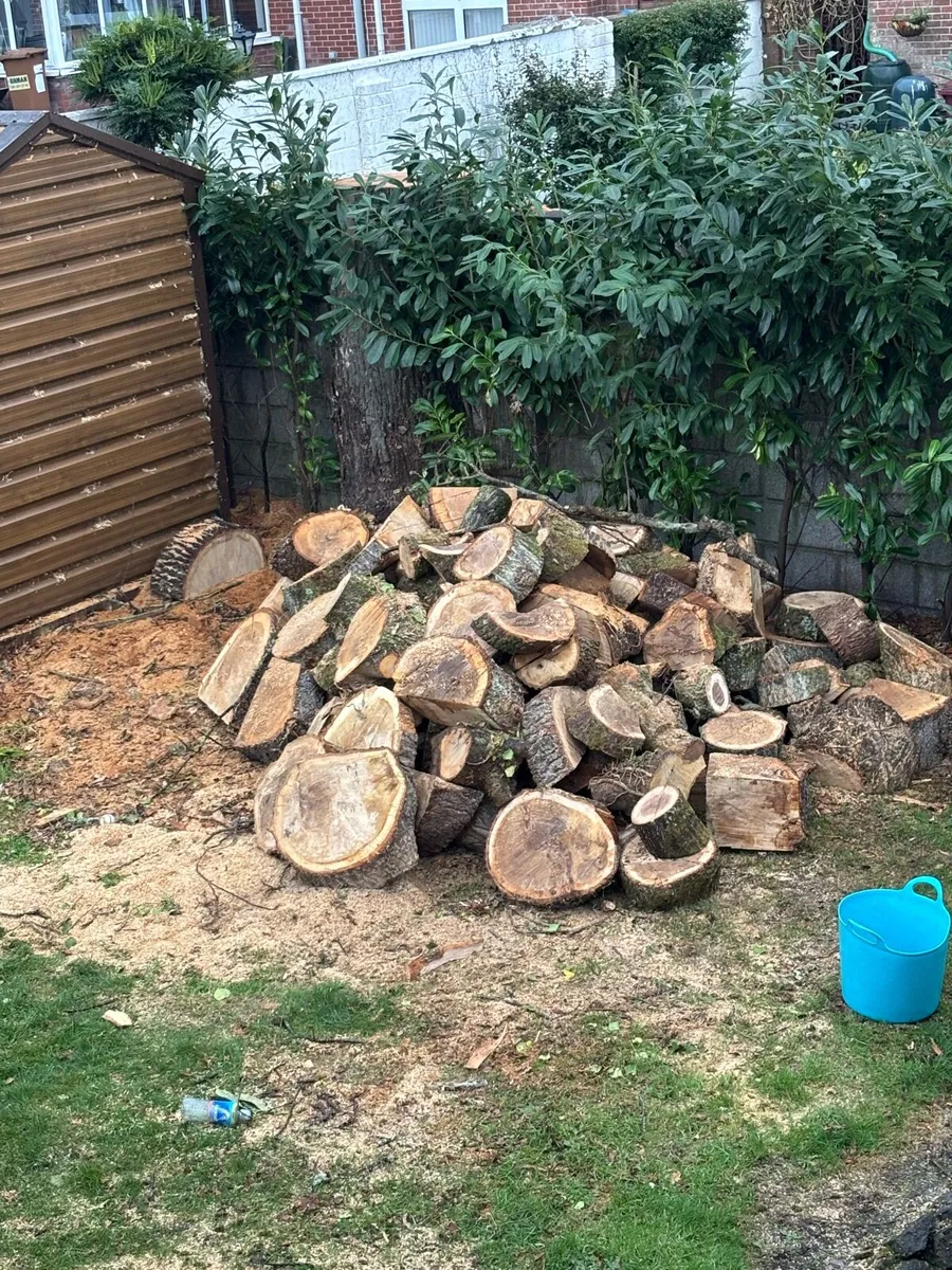 💥Firewood-Mature Oak-70% Discount💥 - Image 1