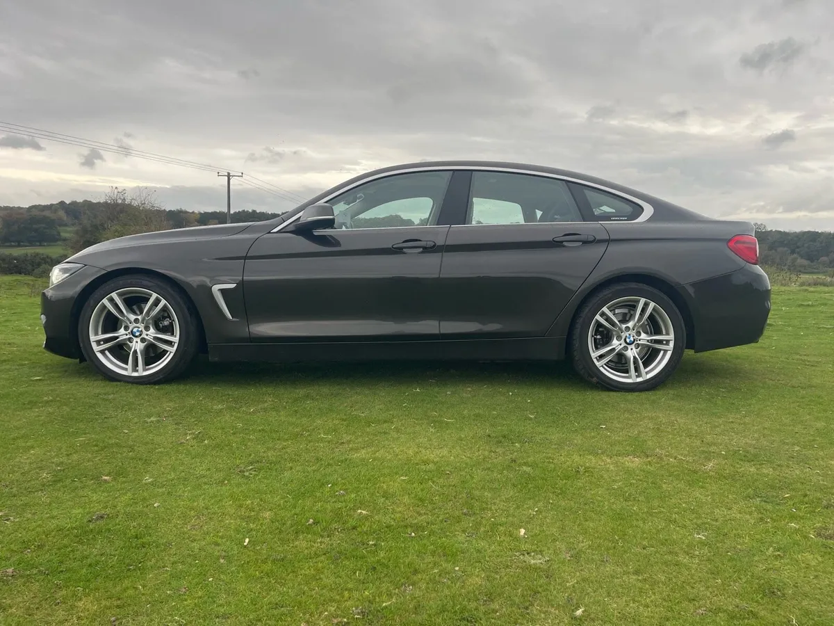 BMW 420D Low Mileage - Image 2