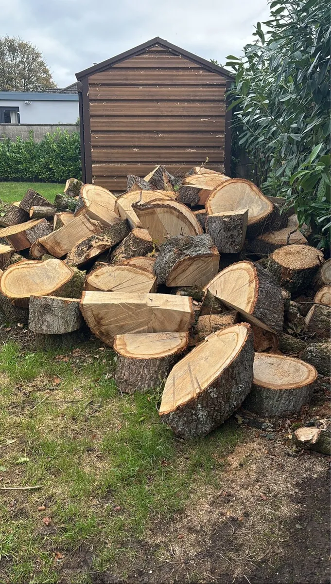 💥Firewood-Mature Oak-70% Discount💥 - Image 2