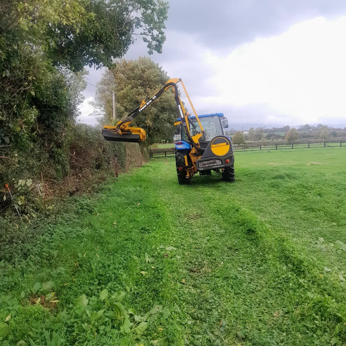 🌳Hedgecutting Services🌳 - Image 3
