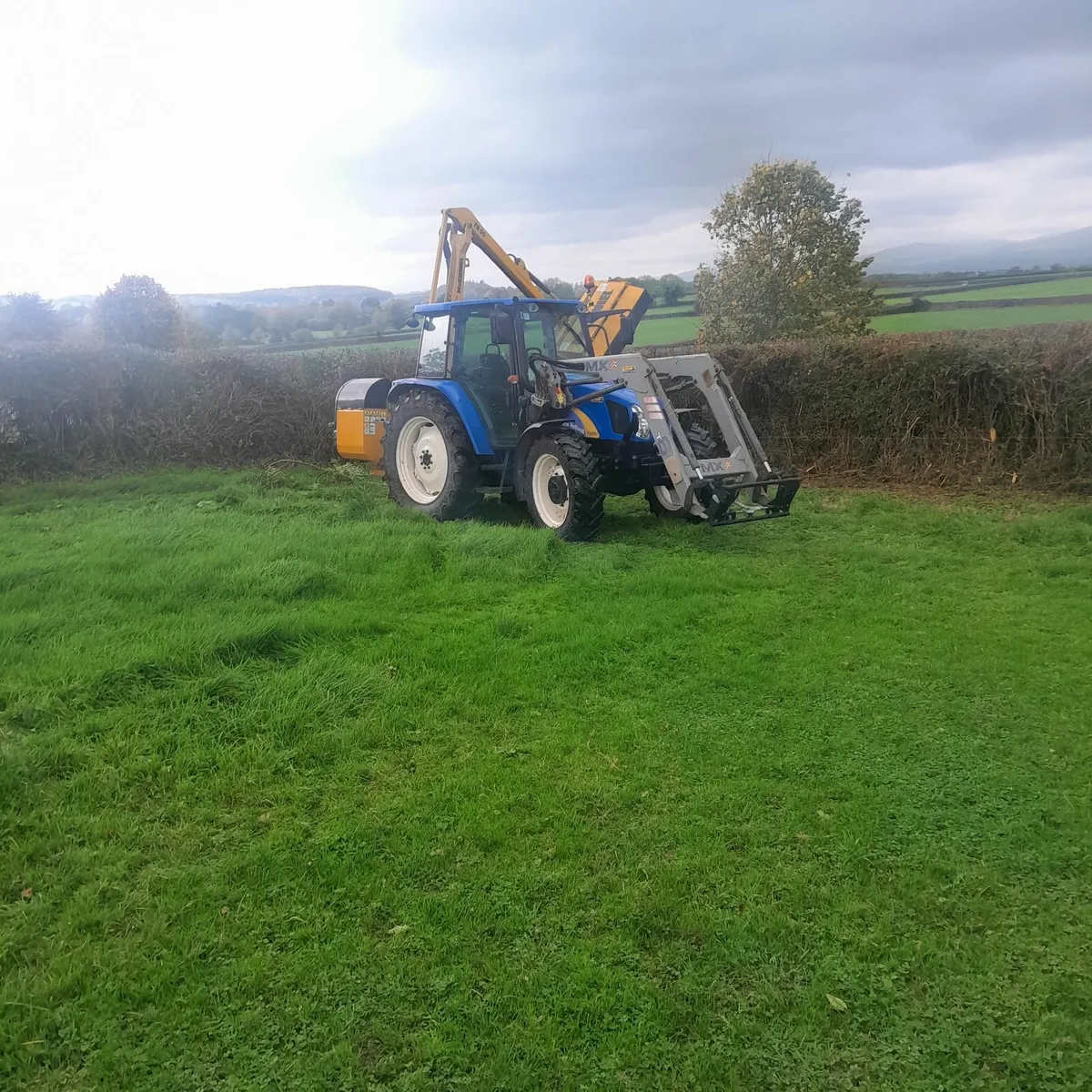 🌳Hedgecutting Services🌳 - Image 1