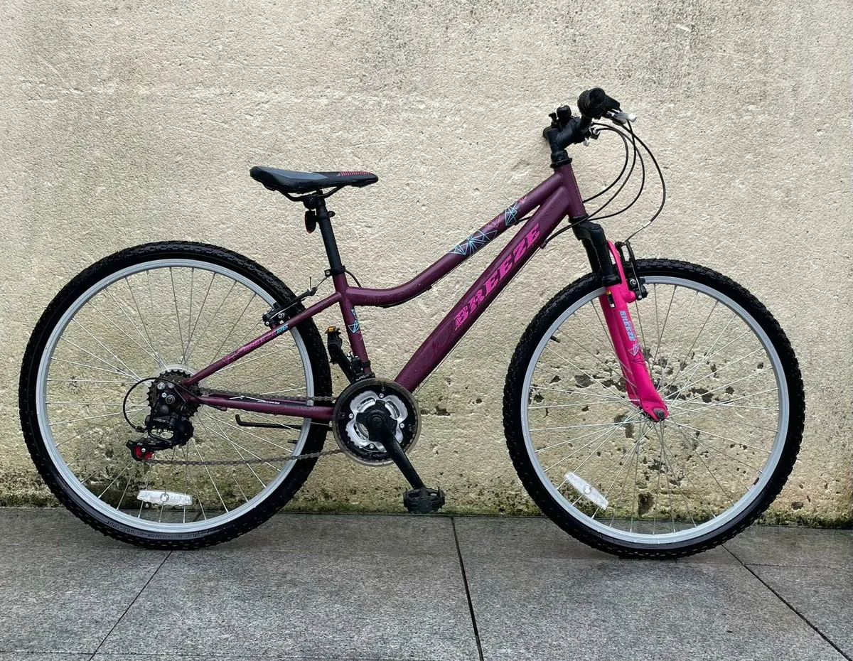 BRAND NEW Bicycle - Image 1