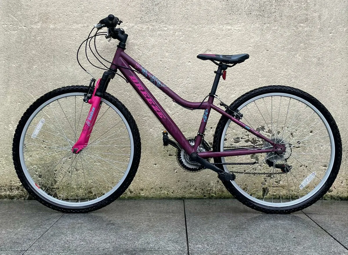 BRAND NEW Bicycle - Image 2