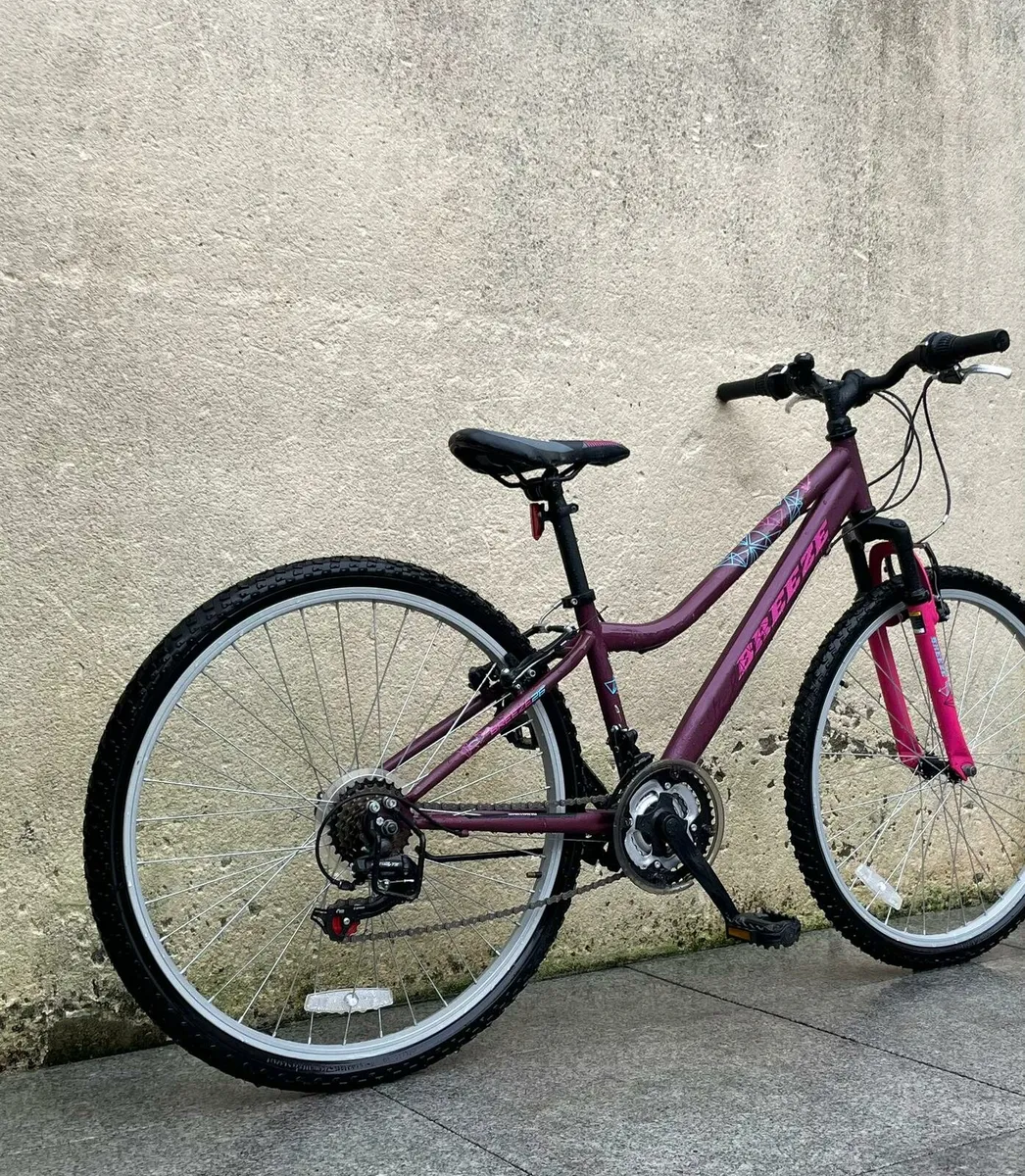 BRAND NEW Bicycle - Image 4