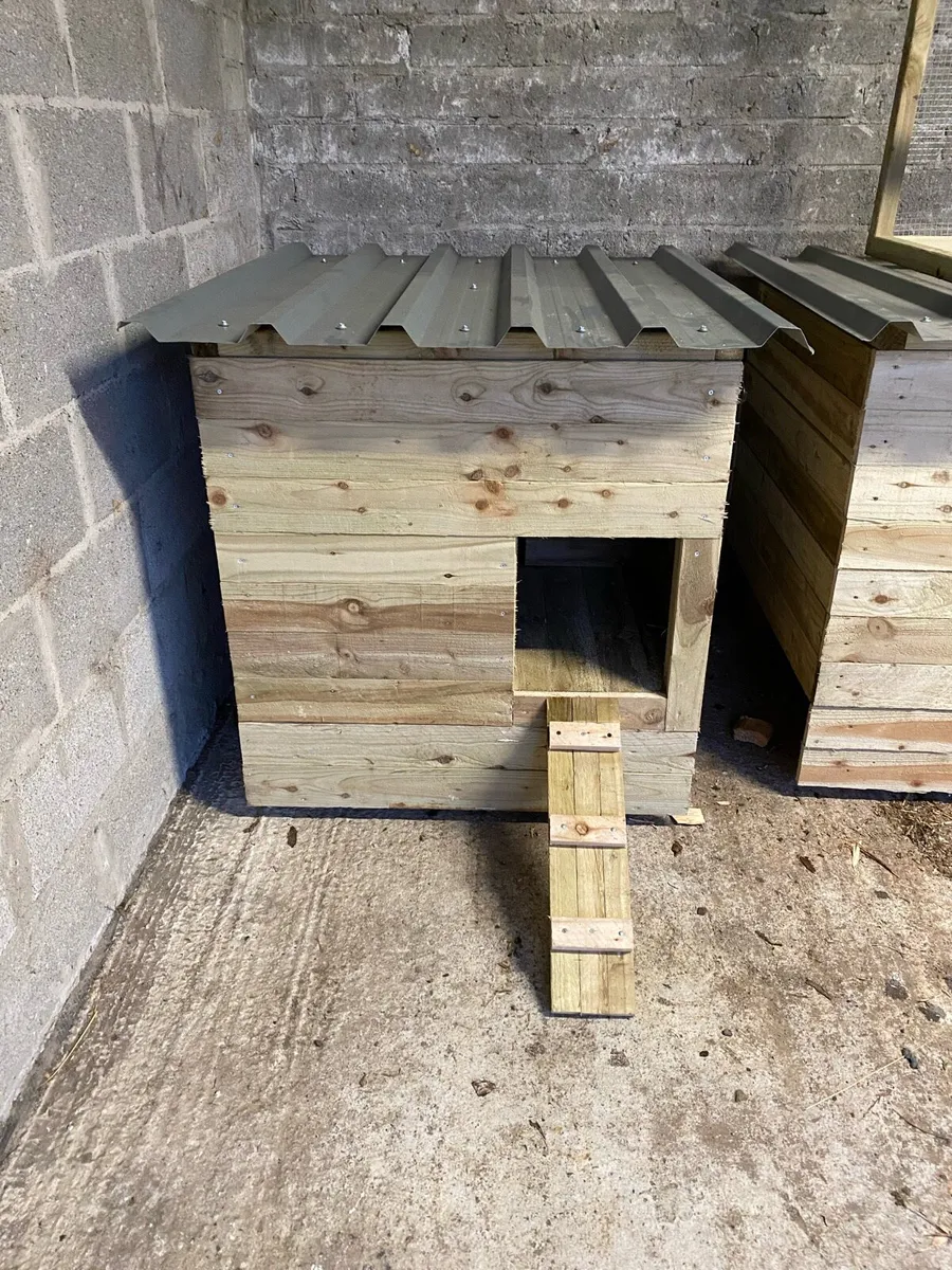 Chicken coops/runs Perfect Christmas present🎁 - Image 3