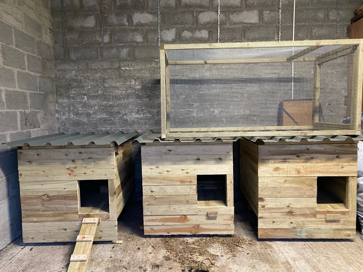 Chicken coops/runs Perfect Christmas present🎁 - Image 4
