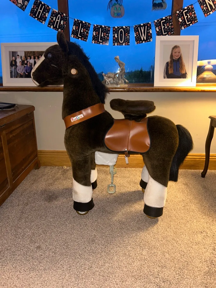 Pony cycle - Image 3