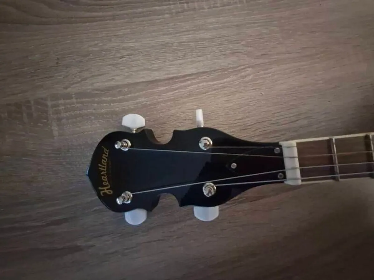 Heartland 4 string Banjo - Image 3