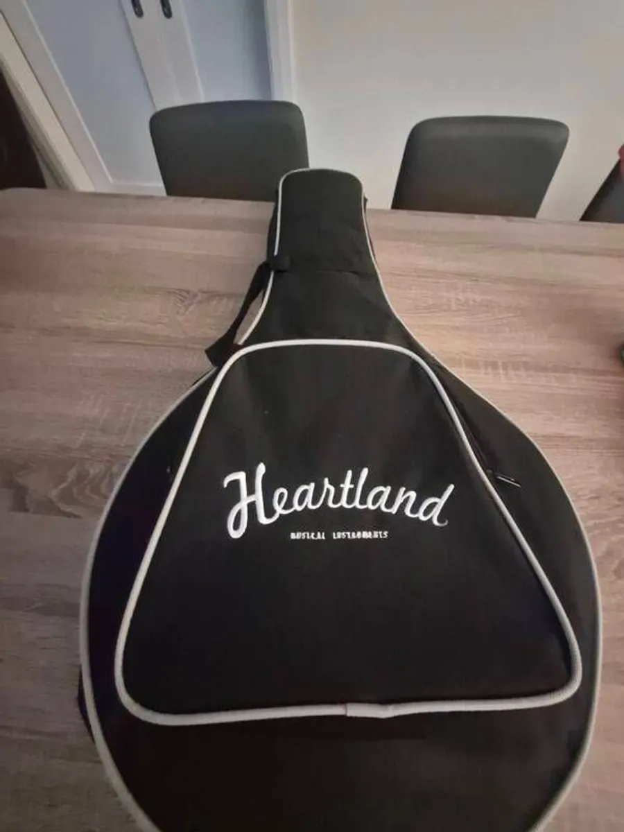 Heartland 4 string Banjo - Image 4