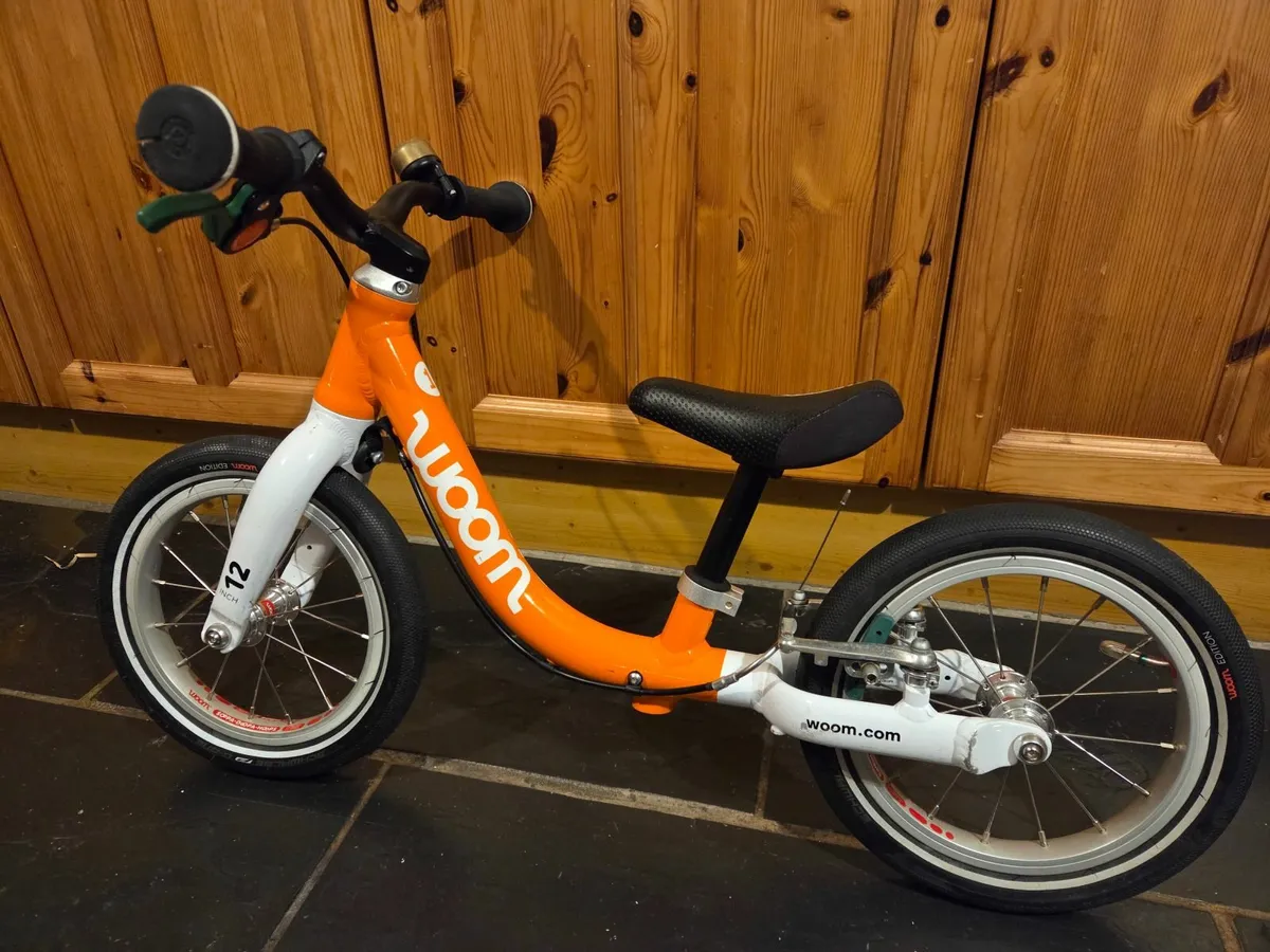 Childs bike and slide - Image 1