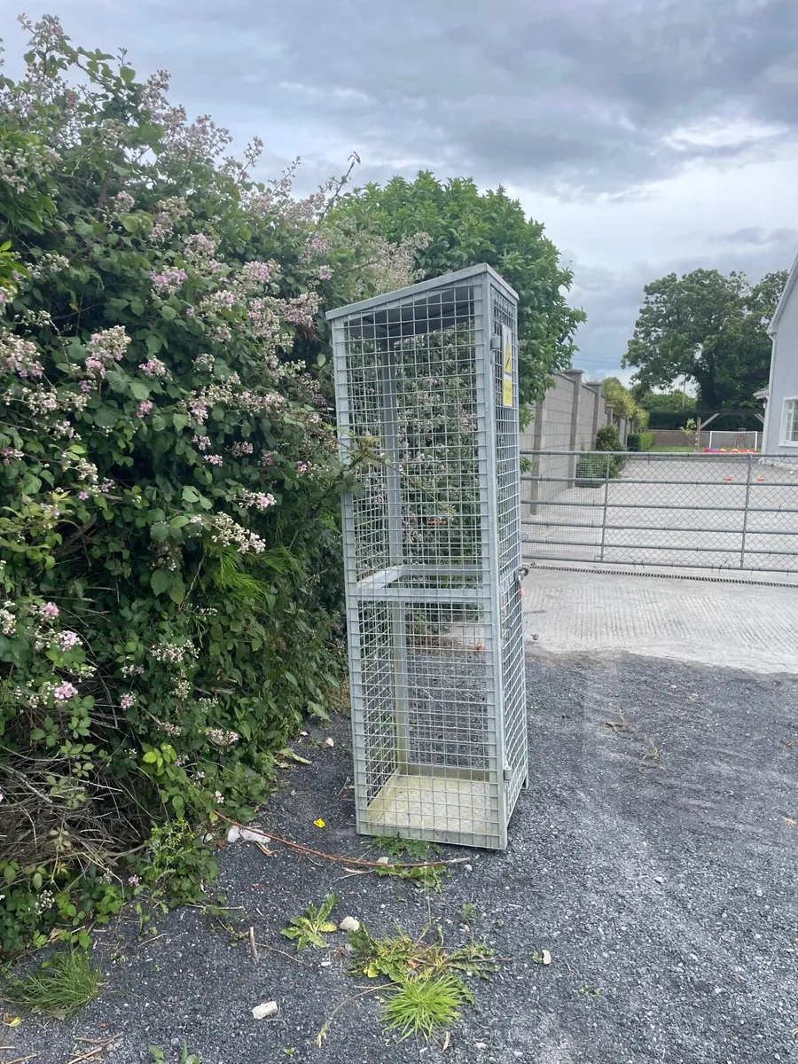 Gas Cage - Image 4