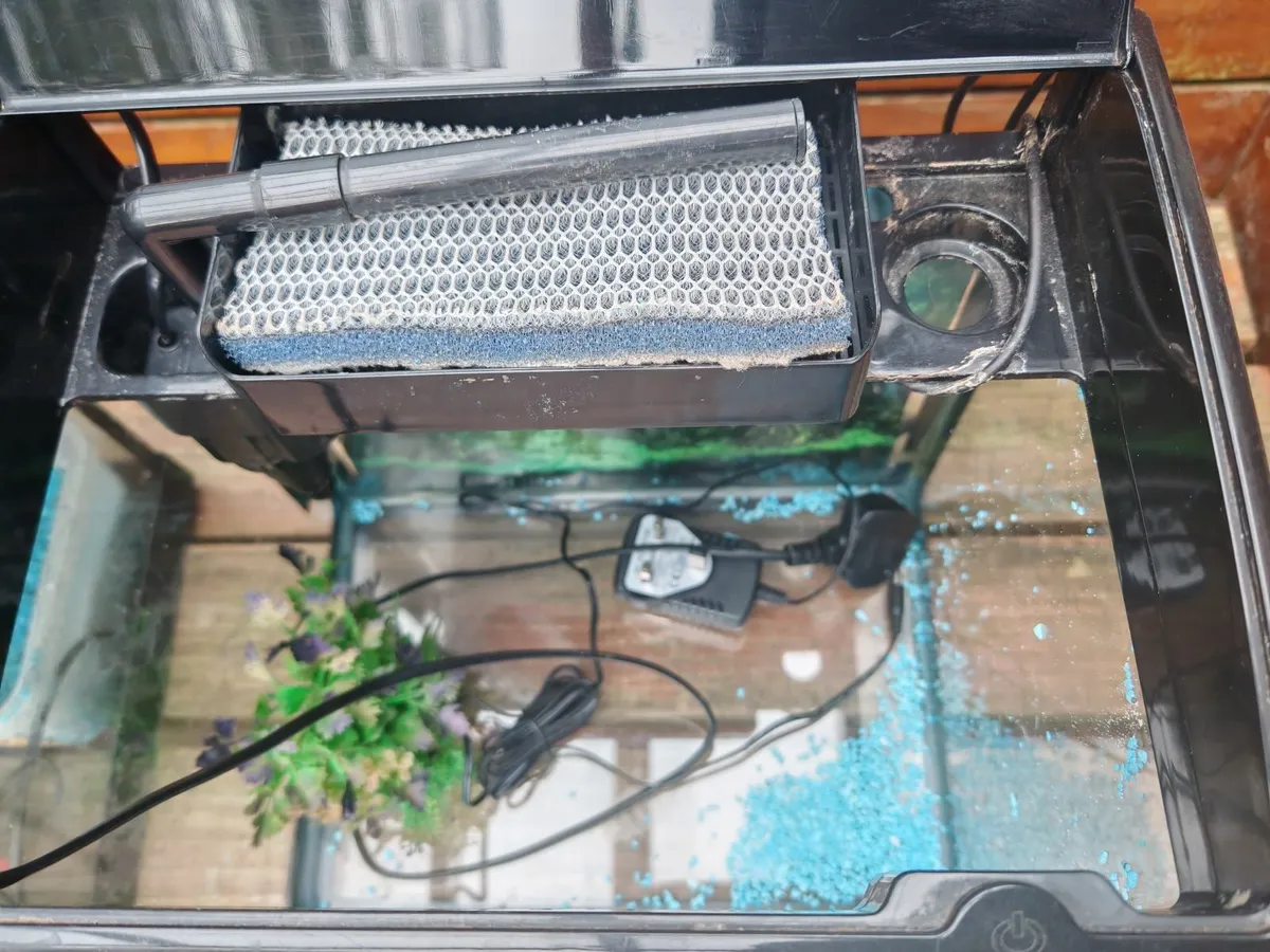 Aquarium, fish tank - Image 2