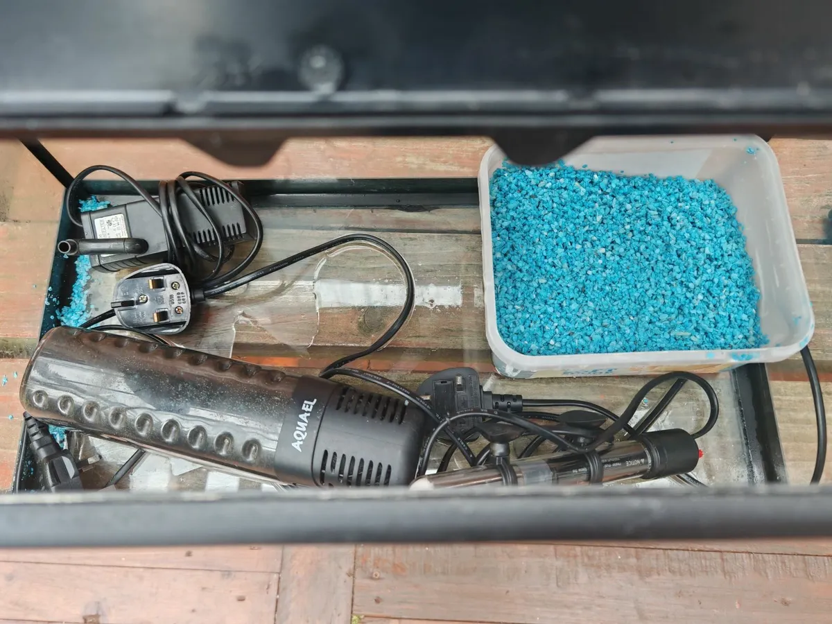 Aquarium, fish tank - Image 3
