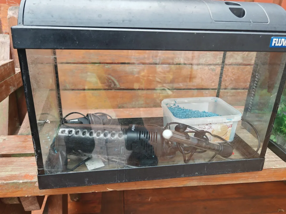 Aquarium, fish tank - Image 4
