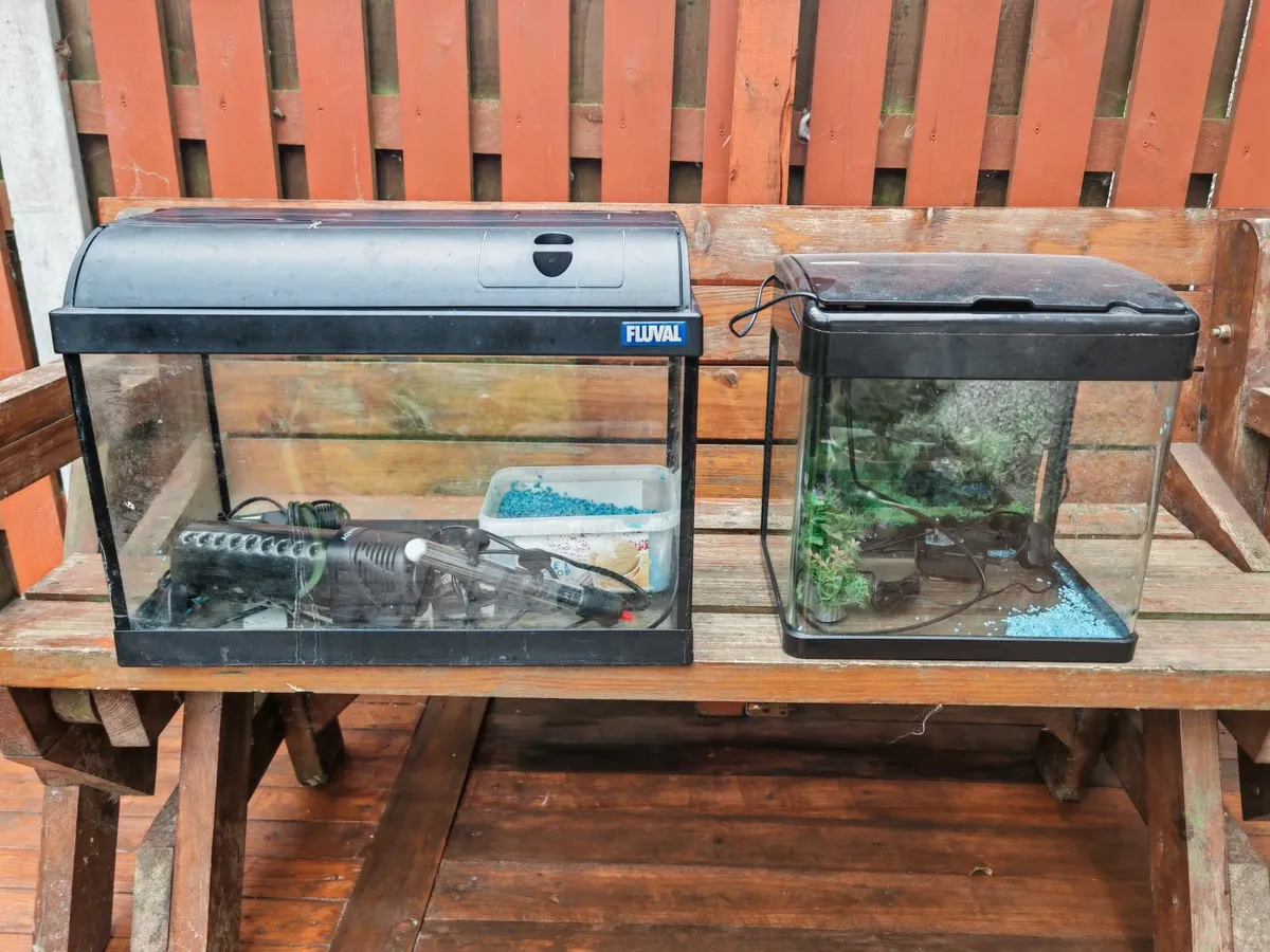 Aquarium, fish tank - Image 1