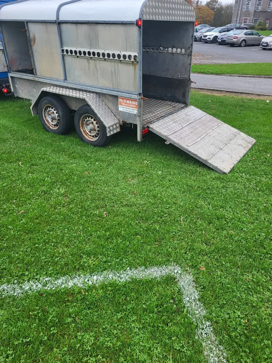 Sheep trailer - Image 2