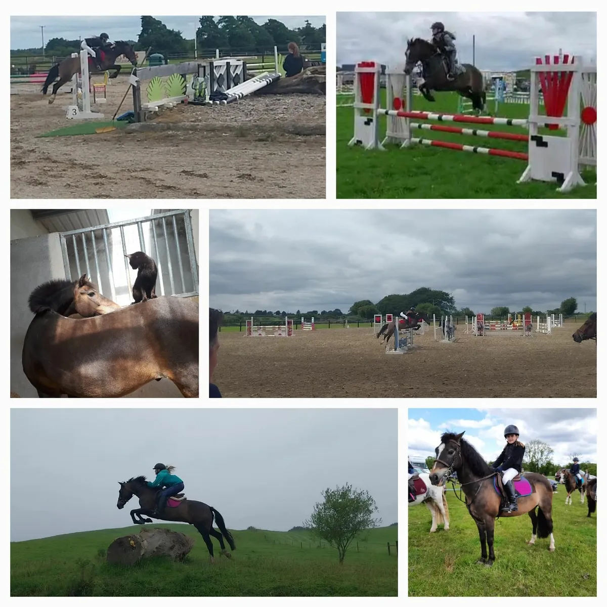 128 Pony for sale - Image 3