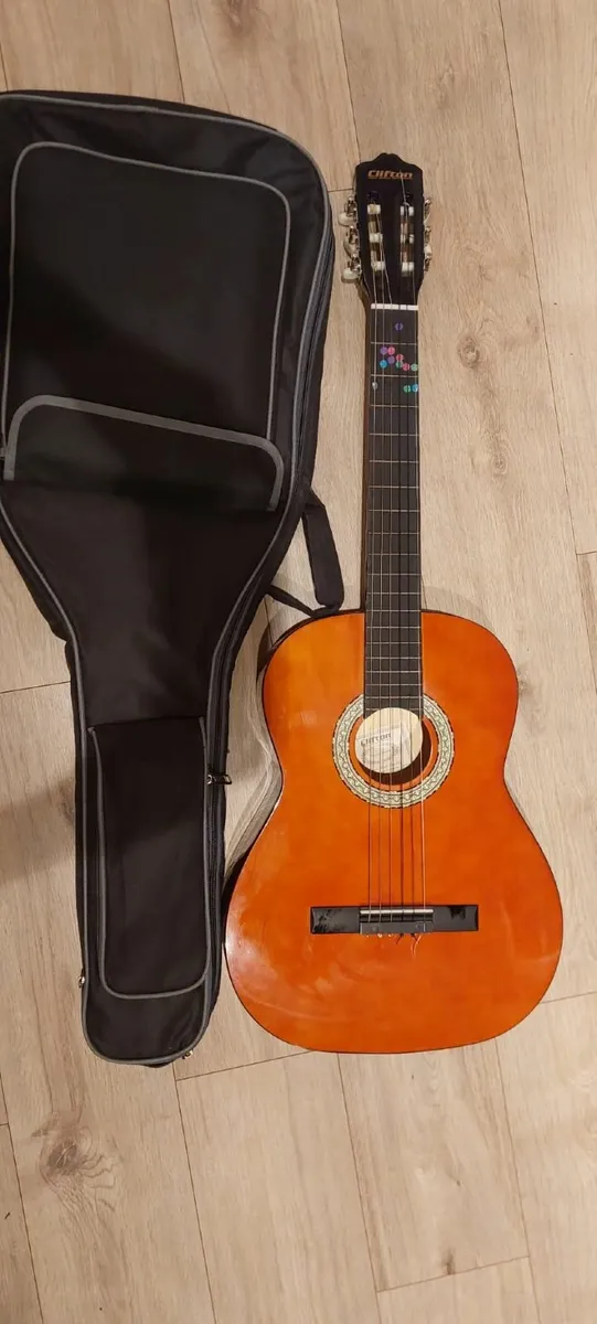 Guitar - Image 2