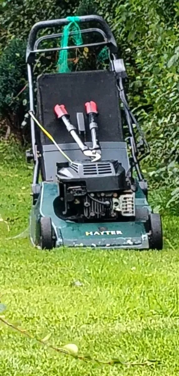 Hayter harrier 48 lawnmower - Image 1