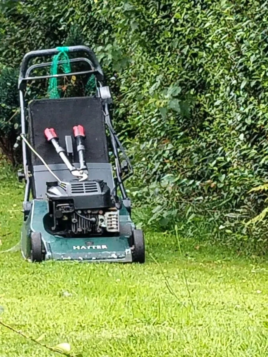 Hayter harrier 48 lawnmower - Image 2