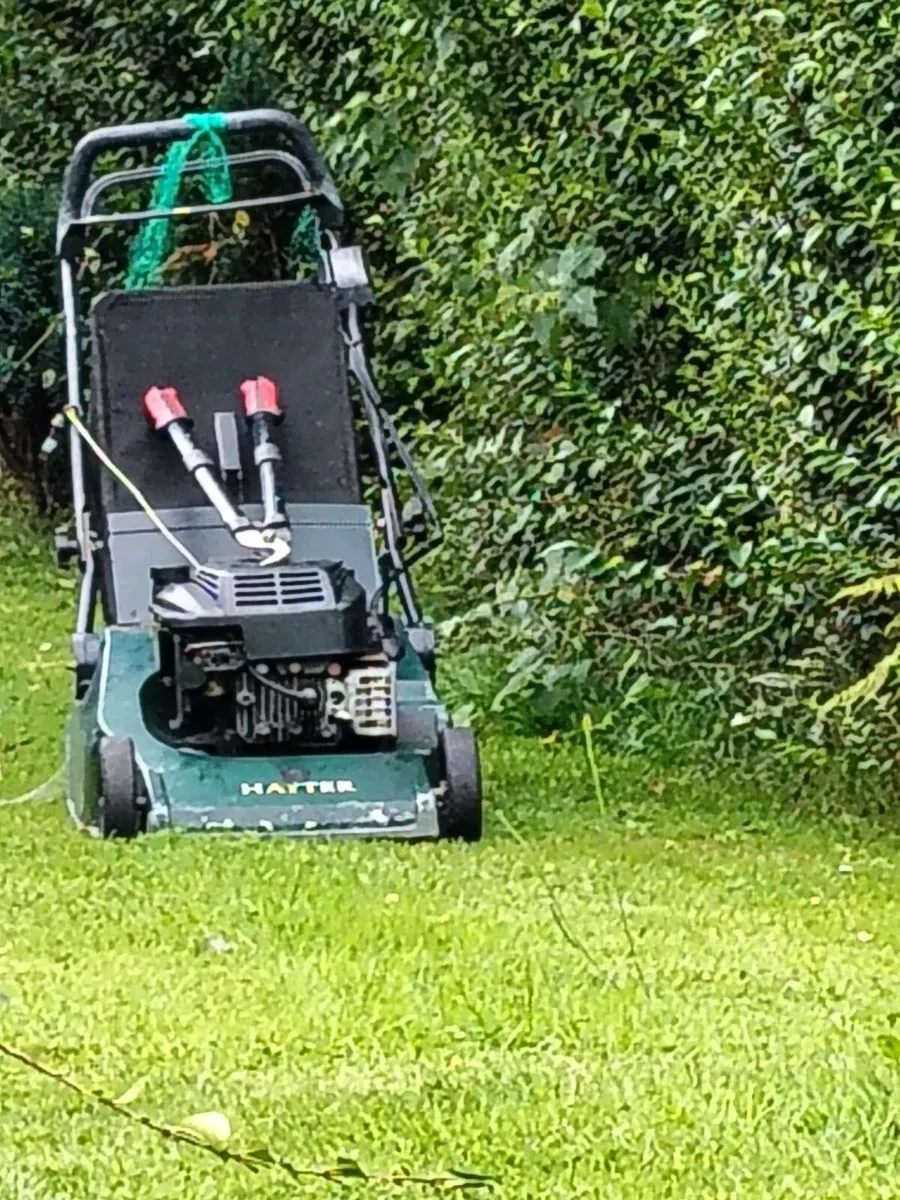 Hayter harrier 48 lawnmower - Image 3