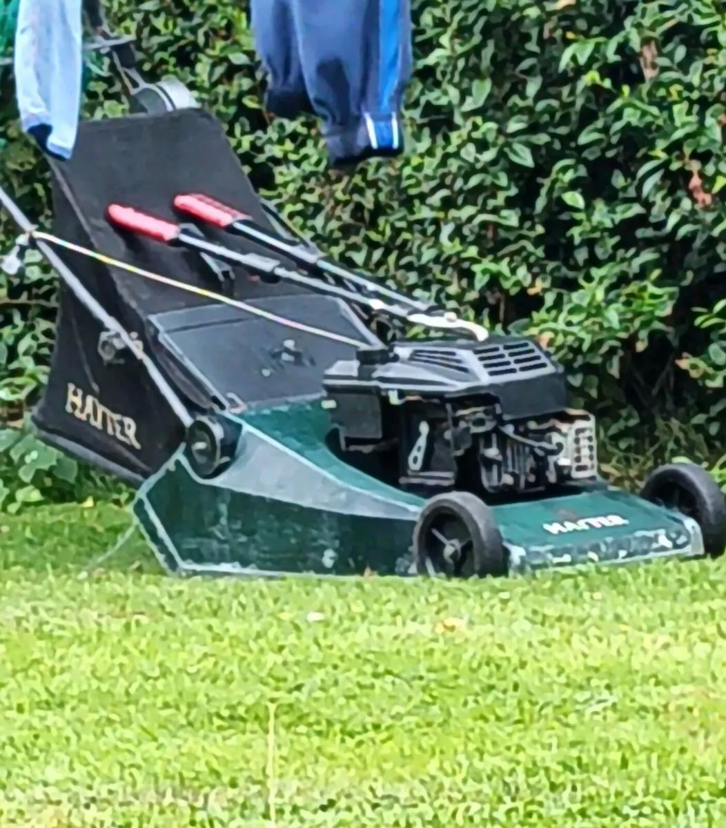 Hayter harrier 48 lawnmower - Image 4