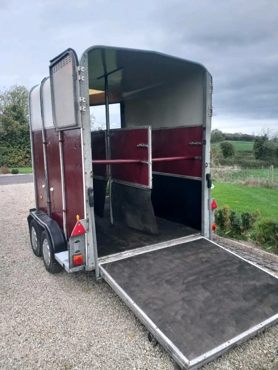 Ifor Williams 510 horsebox - Image 2