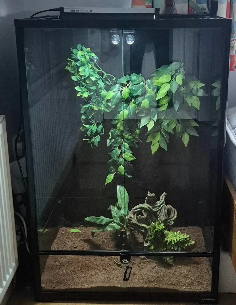 Terrarium