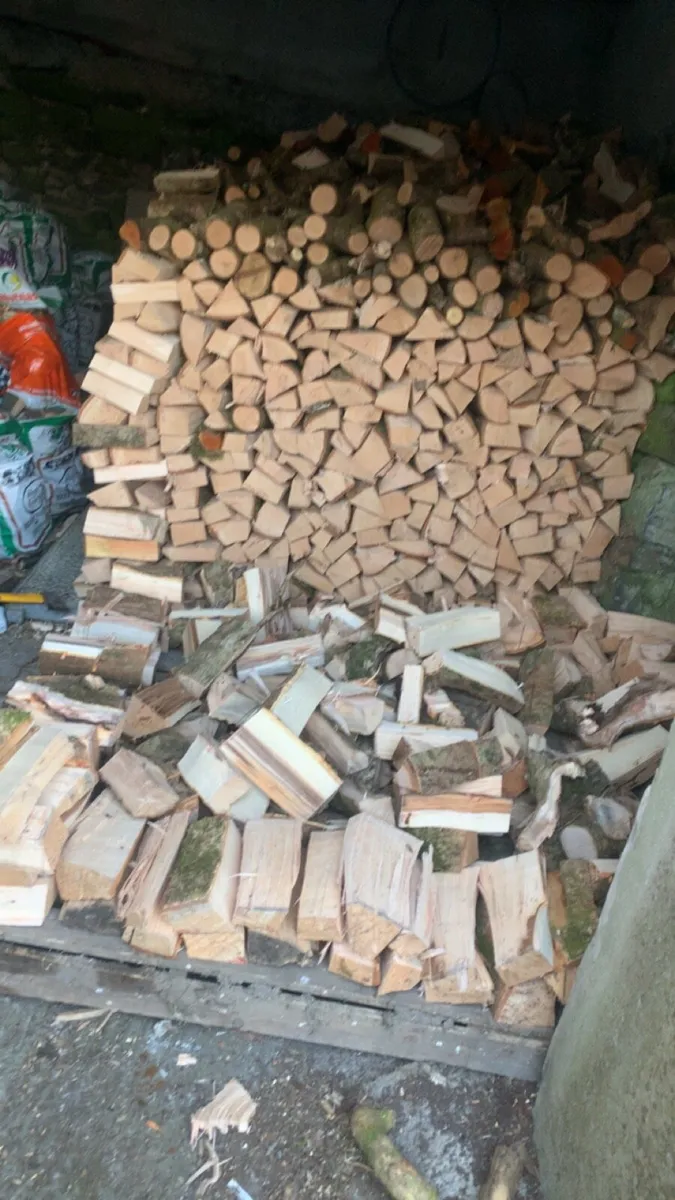 Premium ash timber - Image 1