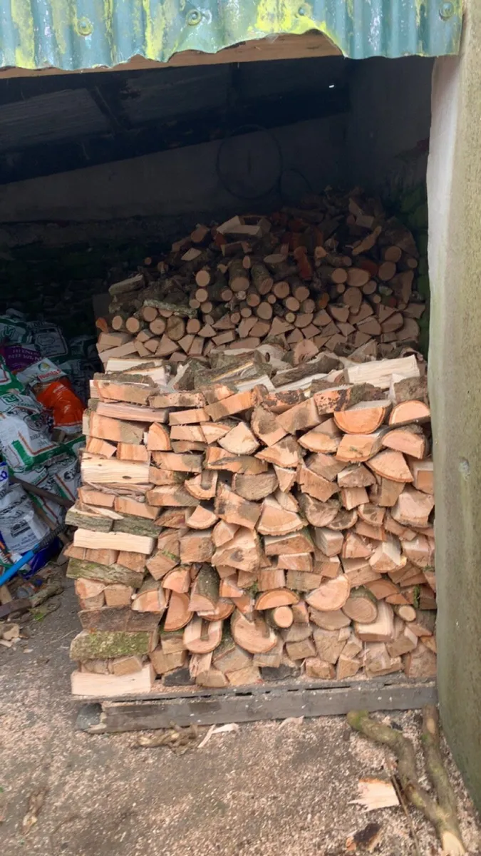 Premium ash timber - Image 2