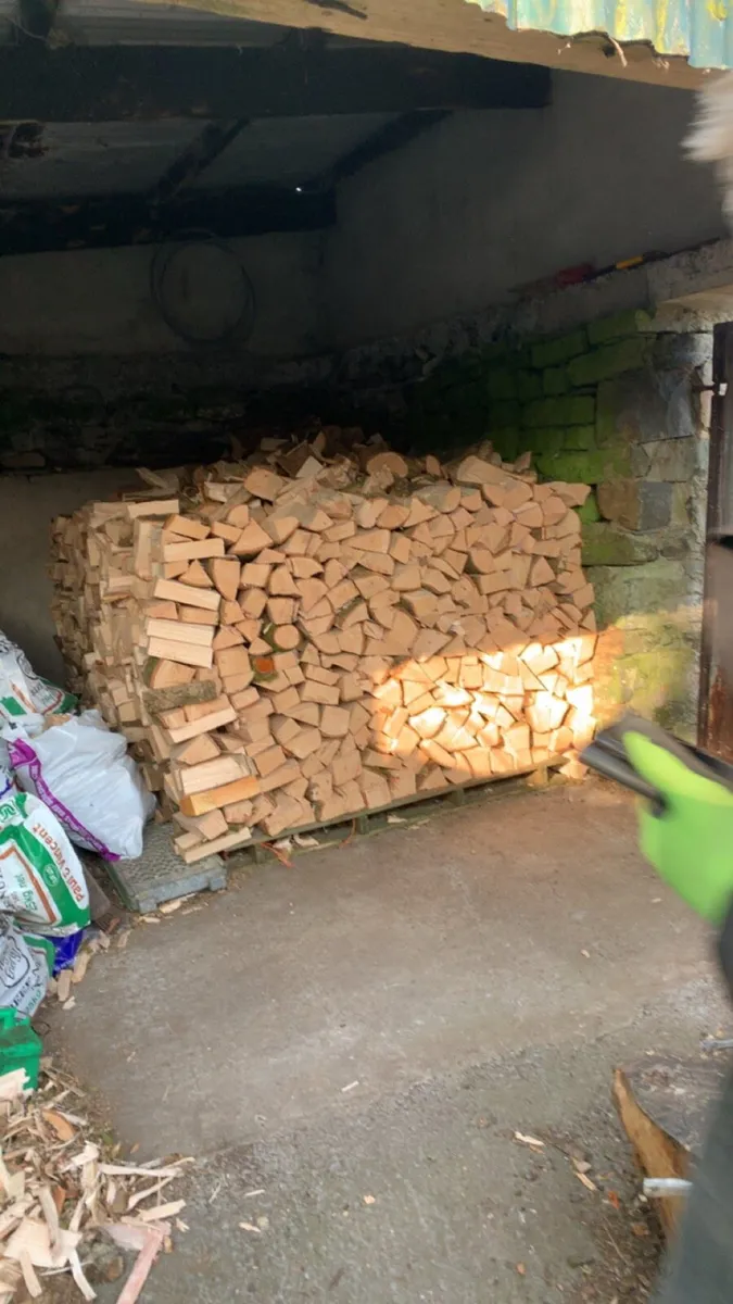 Premium ash timber - Image 3