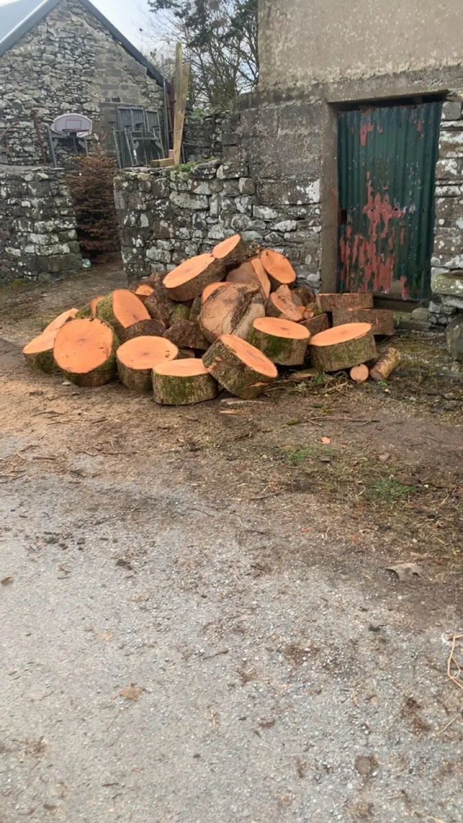 Premium ash timber - Image 4