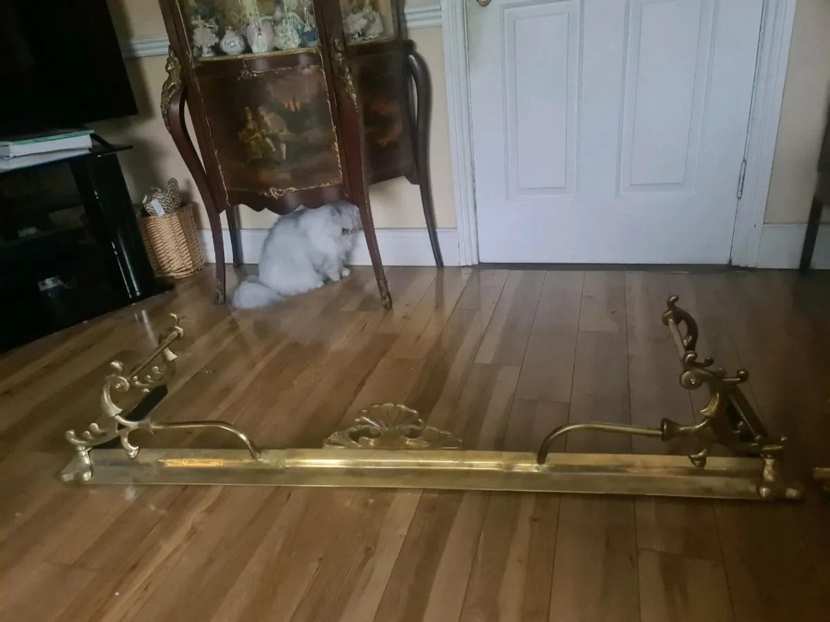 Solid heavy brass fender - Image 1