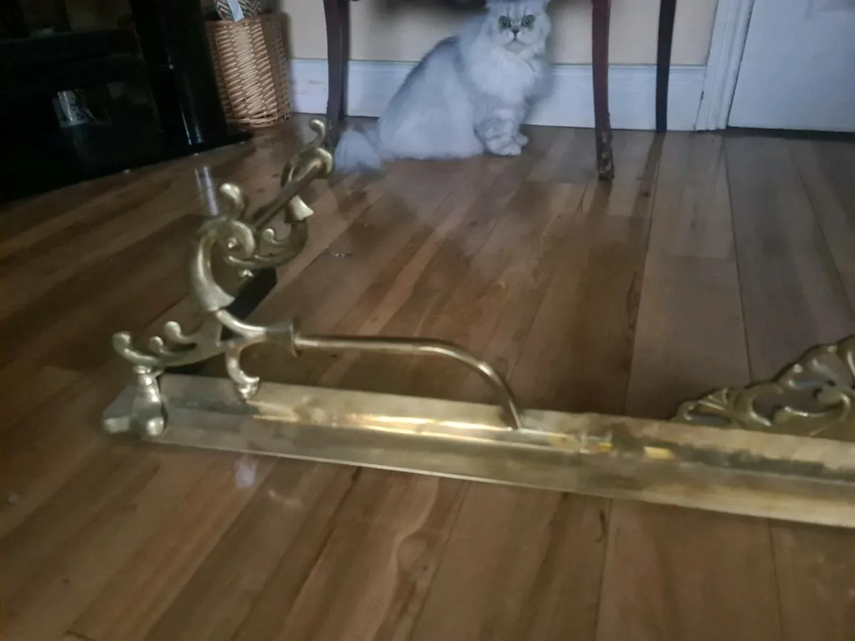 Solid heavy brass fender - Image 2