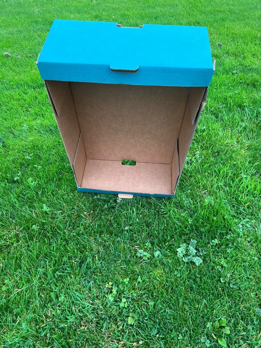 Green Cardboard Produce Trays - Image 4