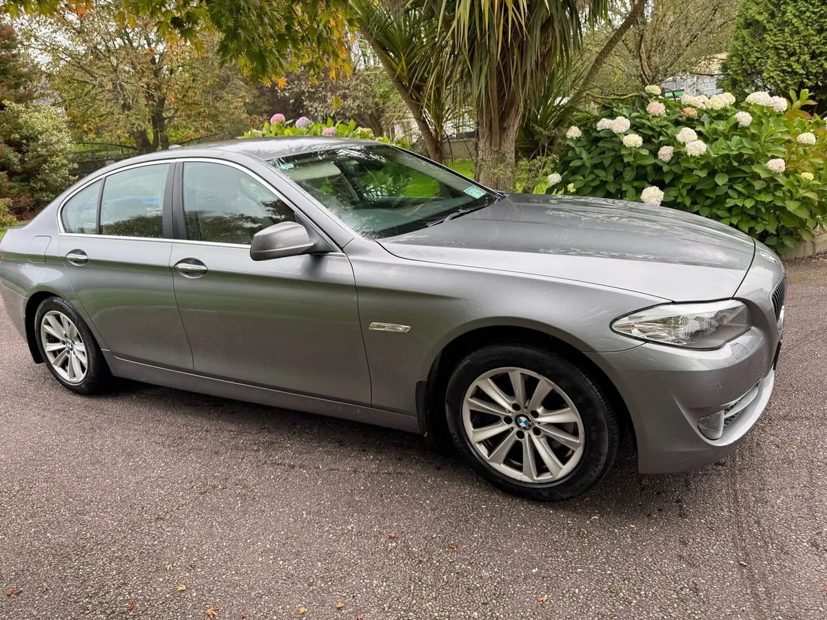 BMW 525 - Image 2