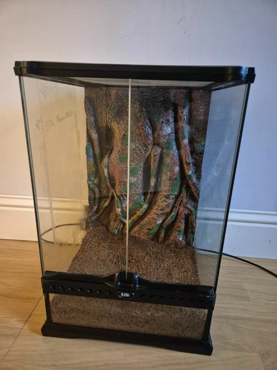 Terrarium