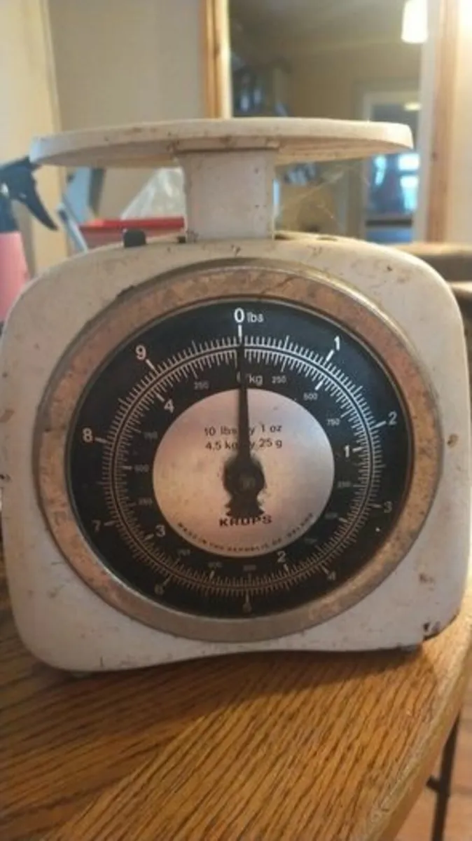 Krups Kitchen Scale