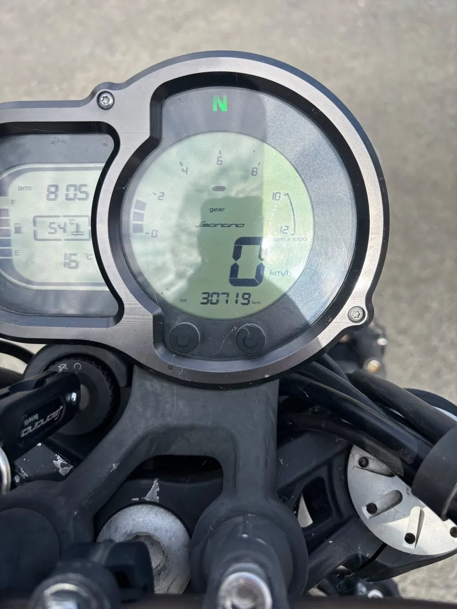 Benelli leoncino 2019 - Image 2