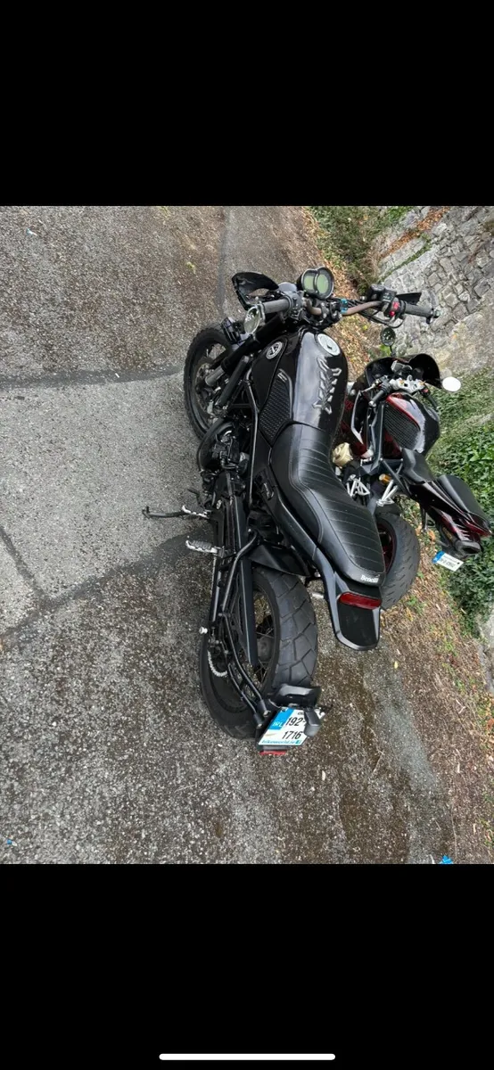 Benelli leoncino 2019 - Image 3