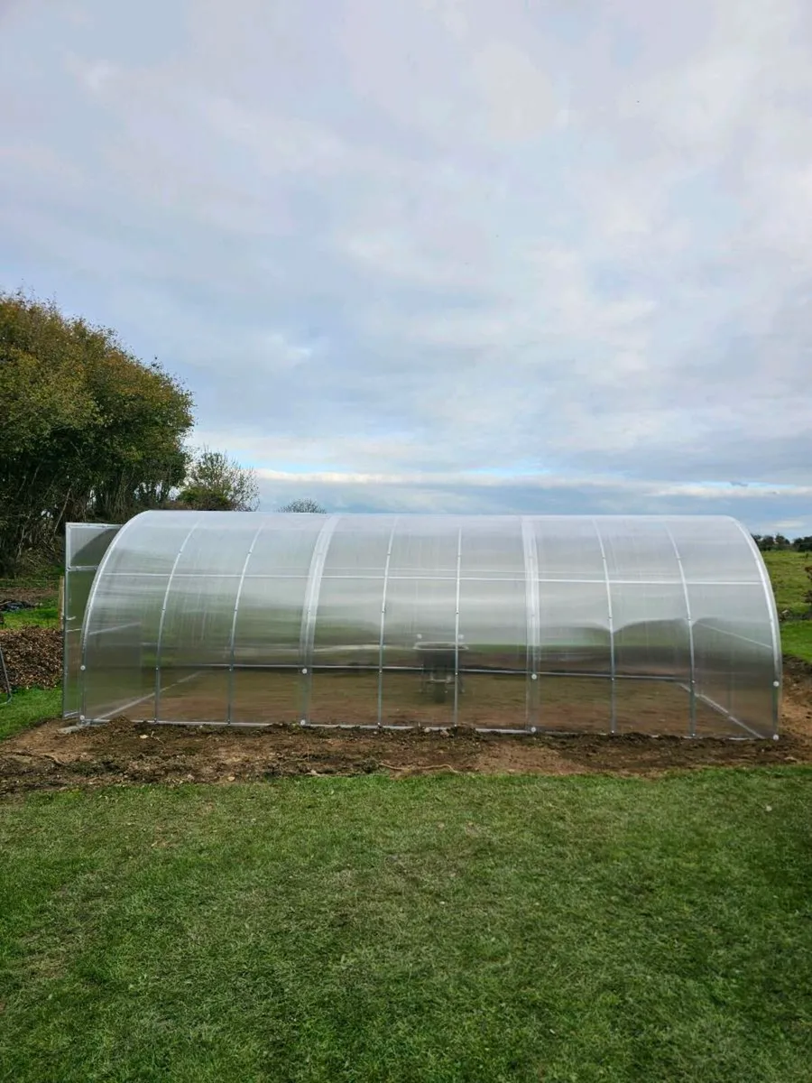 Polytunnels - Image 1