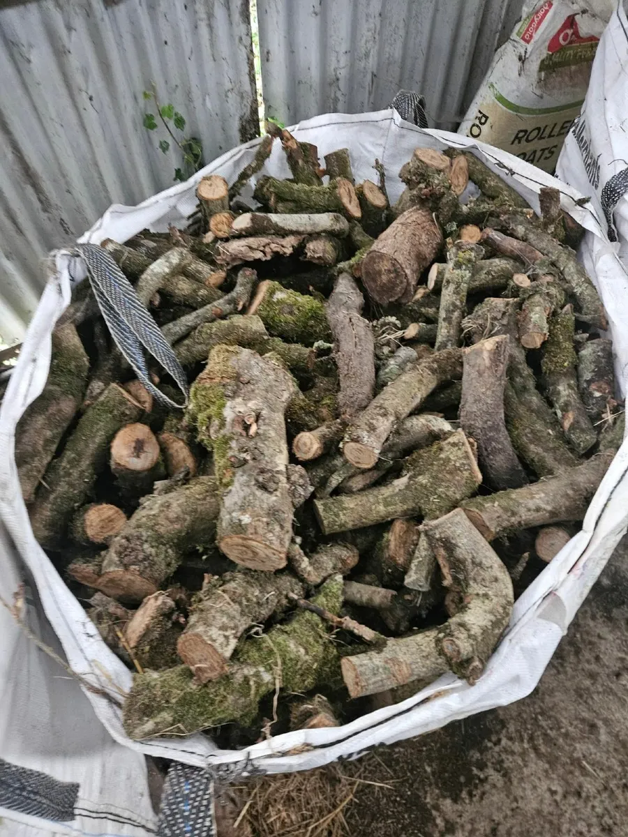 Firewood - hardwood bagged - Image 1