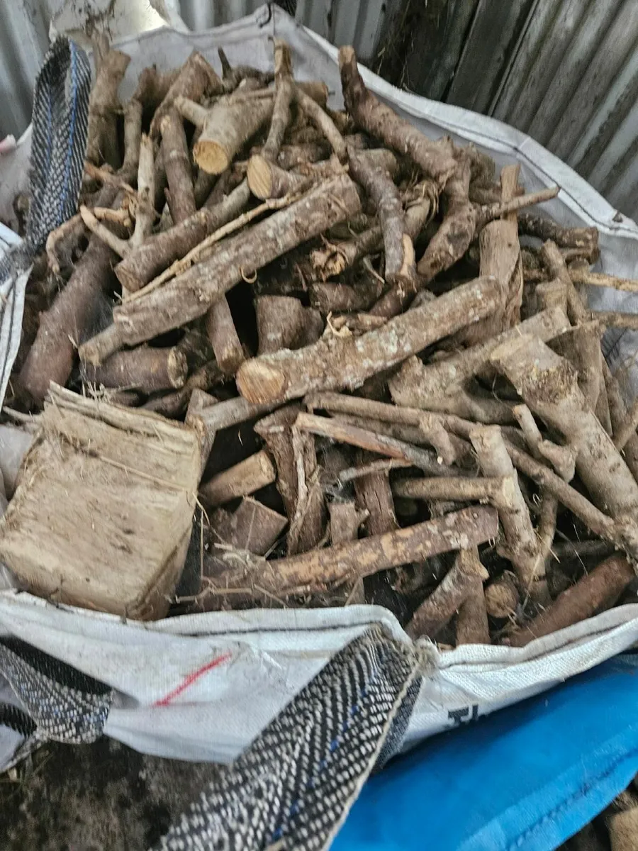 Firewood - hardwood bagged - Image 2