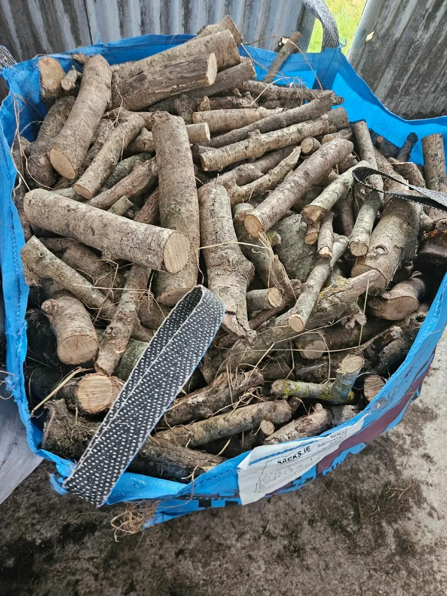 Firewood - hardwood bagged - Image 3