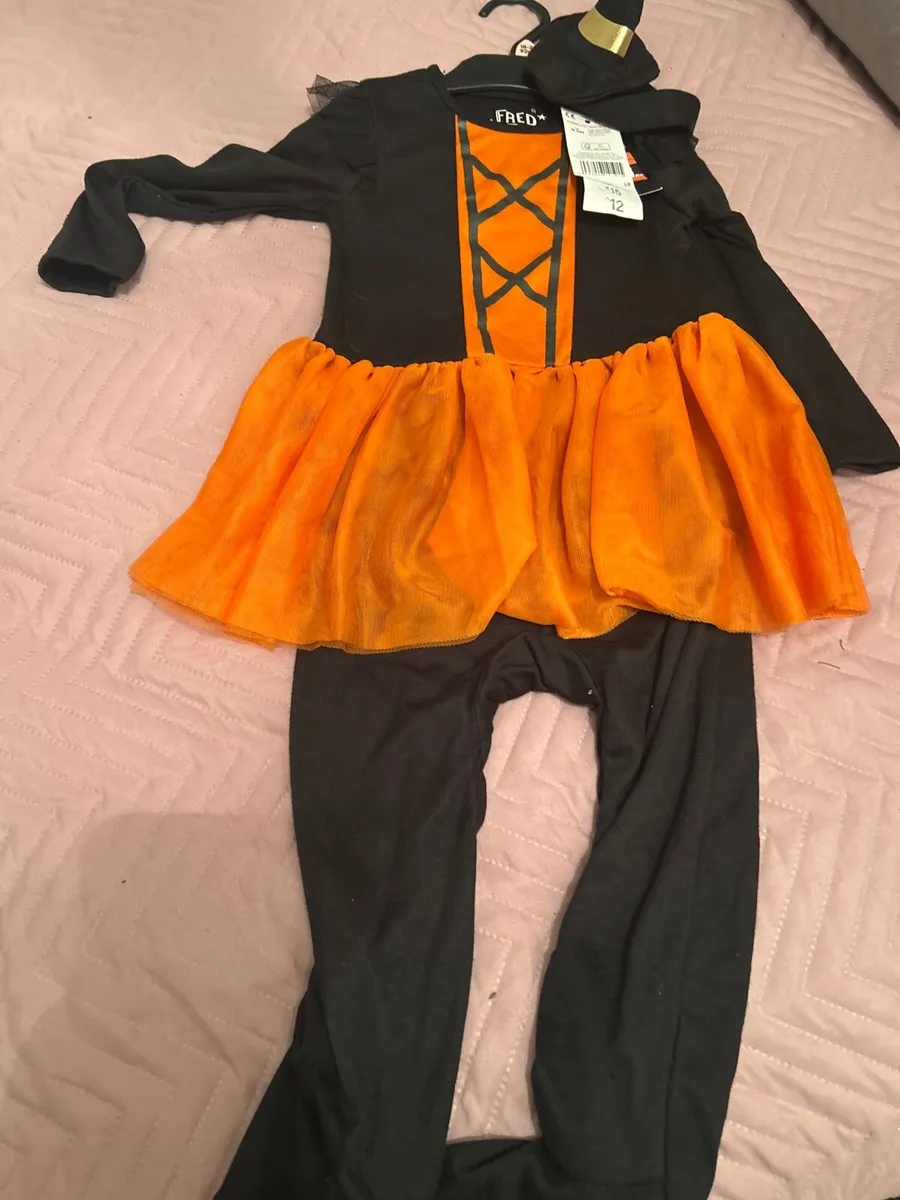 Halloween Costume age18/24 months - Image 1