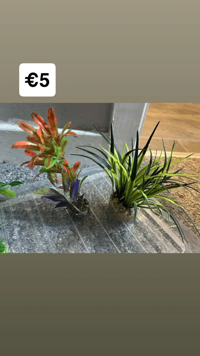 Fish accessories - Image 1