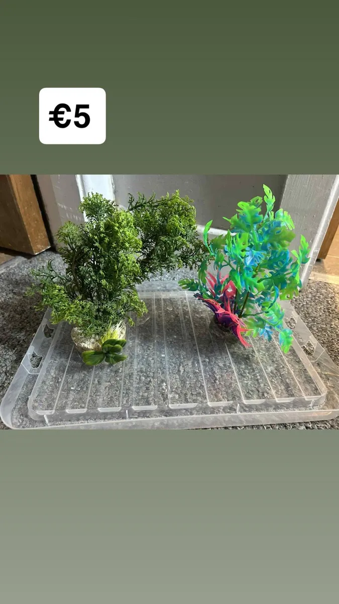 Fish accessories - Image 3