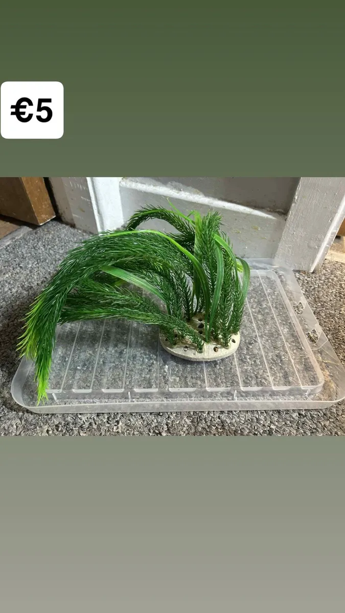 Fish accessories - Image 4