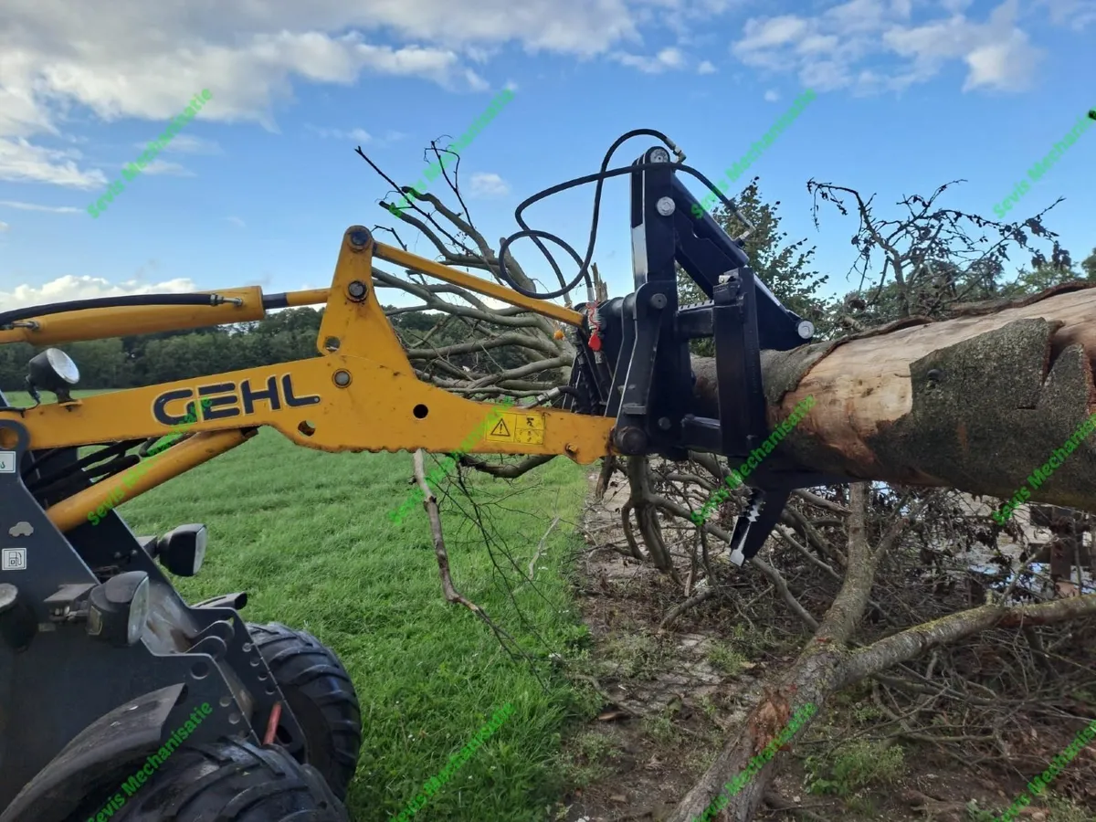 LOG GRAB PALLET FORKS - Image 2